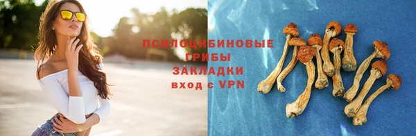 гидропоника Алзамай